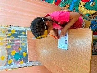 Детский сад "Теремок"- выборы Президента цветочной страны